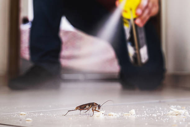 Professional Pest Control in South Miami Heights, FL